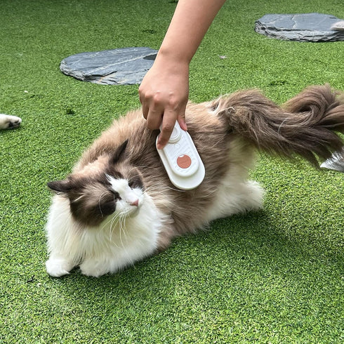 New 3-in-1 Cat Steam Brush With Enhanced Spray, Long Comb Steamy Brush for Shedding, Hair Remover, Cloud Care Water Brush for Long & Short Hair In...