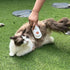 New 3-in-1 Cat Steam Brush With Enhanced Spray, Long Comb Steamy Brush for Shedding, Hair Remover, Cloud Care Water Brush for Long & Short Hair In...
