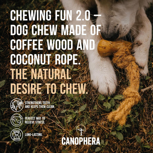 Dog chew Made of Coffee Wood and Coconut Rope - Size Small - 2pack...