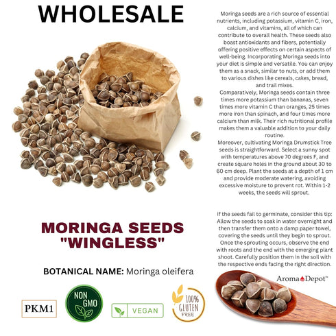 4 oz. Moringa Seeds KERNEL Shelled Clean 100% Natural, Raw Superfood Nutritional, Rich in Vitamins, Edible Seeds, Protein, Minerals, Potassium. (A...