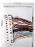 Dimensions Counted Cross Stitch Kit 'Cardinals on Winter Sled', 14 Count White Aida, 10" x 14"...