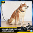 DC Comics Vintage Batman Collection 6 Foot Dog Leash (72 inch) | Cute Yellow and Black Dog Leash Easily Attaches to Any Dog Collar or Harness | 6 ...