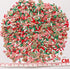 EHOPE Christmas Slices Fake Sprinkles Resin Sprinkles Fake Candy Sprinkles Clay Sprinkles Polymer Sprinkles Polymer Clay Slices for Nail Art DIY C...