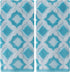 SKL Home Southern Medallion Hand Towel (2-Pack)...