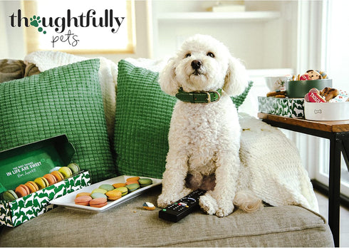 Thoughtfully Pets, Dog Birthday Cookie Gift Set, Hand Decorate Crunchy Dog Treats in Bone Shapes, Great for Dog Birthdays, Set of 8...