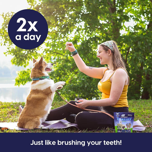 Ark Naturals Fortify Brushless Toothpaste, Dog Dental Chews for Small Breeds, Calcium Plus Omegas Support Strong Teeth and Immune Health, 12oz, 1 ...