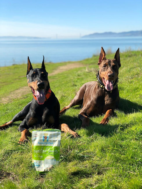 Freeze Dried Superfood Snacks for Dogs Apple+Cinnamon All Natural Dog Treat...
