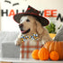 2023 NEW Halloween Holiday Collar for Boys and Girls Small Medium Large dog Pets Puppies Halloween Dog Collar with Bow Tie (Animal Print, Large-(1...