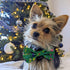 Huxley & Kent Bow Tie for Pets | Merry & Bright (Small) | Christmas Holiday Velcro Bow Tie Collar Attachment | Fun Bow Ties for Dogs & Cats | Cute...