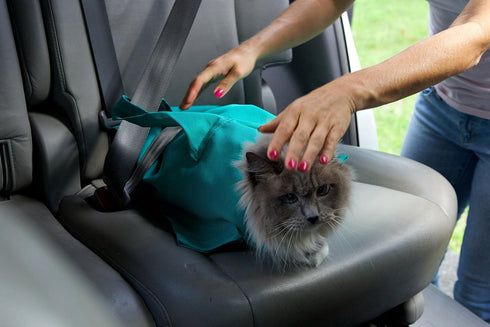The Original AS SEEN ON TV. Comfy Soothing Cat Carrier...