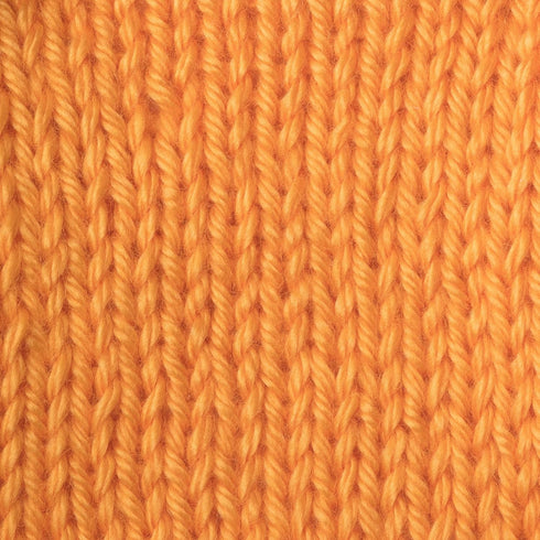 Caron Simply Soft Brites Yarn, 6 oz, Mango, 1 Ball...