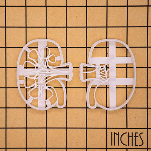 Set of 2 Kidney cookie cutters (Designs: External and Internal Kidney), 2 pieces - Bakerlogy...
