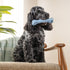 Harry Barker Rubber Balls and Rubber Chew Stick, Rubber Bone for Dogs - Medium Bone...