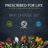 Prescribed For Life Sunflower Lecithin Powder, Unbleached, Gluten Free, Vegan, Non GMO, Soy Free, Kosher, Naturally Rich in Choline & Essential Fa...
