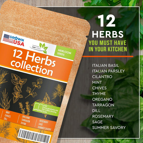 12 Culinary Herb Seeds Pack - Heirloom and Non GMO, Grown in USA - Indoor or Outdoor Garden - Basil, Parsley, Dill, Cilantro, Rosemary, Mint, Thym...