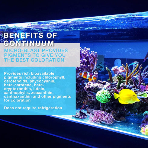 Continuum Aquatics ACO30671 Micro Blast for Aquarium, 8.5-Ounce...