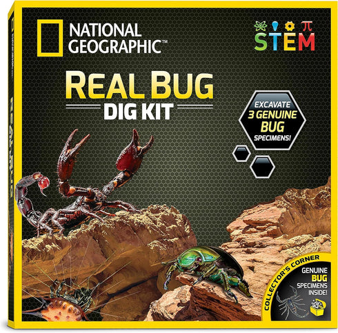 NATIONAL GEOGRAPHIC Real Bug Dig Kit - Dig up 3 Real Insects including Spider, Fortune Beetle and Scorpion - Great STEM Science Gift...