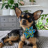 Huxley & Kent Pet Pinwheel | Cinco Fiesta (Small) | Velcro Collar Accessory for Dogs/Cats | Fun Pet Pinwheel Collar Attachment | Cute, Comfortable...