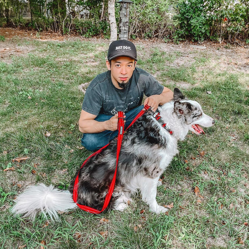 Voyager Reflective Dog Leash Collar Set with Neoprene Handle Supports Small, Medium, and Large Breed Puppies, Cute and Heavy Duty for Walking, Run...