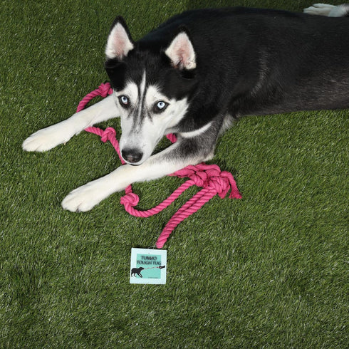 Tough Tug Rope Dog Toy - (Pink 5 ft Long Strong and Durable Rope Pull Toy with Handle) TUG of WAR Dog Toy...