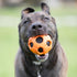 Nerf Products 3220 Bash Crunch Ball, Large, Orange, One-Size-for-Most...
