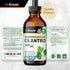 Cilantro Supplement - Organic Cilantro Leaf Tincture - Rich Source of Antioxidants - Natural Body Cleansing & Detox Liquid - Vegan, Alcohol Free D...
