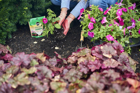 Miracle-Gro Quick Start Planting Tablets...