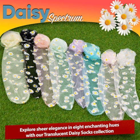 Seashell White Translucent Daisy Socks Women Fashion Sheer Socks - See Through Mesh Socks for Women - Floral Tulle Socks (US sizes 5-8)...
