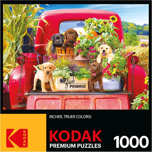 RoseArt - Kodak Premium - Stowaways - 1000 Piece Jigsaw Puzzle for Adults...