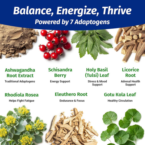1 Body Ashwagandha Complex with Shoden® – Clinically Supported Stress Relief, Sleep, and Energy Support – Vegan, Non-GMO Supplements – 60 Capsules...