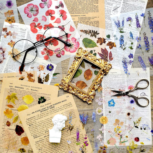 Rub On Transfer Sticker Scrapbook Stickers Flower Stickers Decoration Sticker Planner Stickers Plant Stickers for Scrapbooking Diary Album Journal...