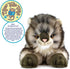 VIAHART Ricky The Maine Coon | 16 Inch Stuffed Animal Plush | by TigerHart Toys...