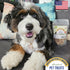 Freeze Dried Lamb Heart Dog Treats Made in USA. All Natural Freeze-Dried Raw Snacks for Dogs and Cats. Single Ingredient. High Protein. Heart Heal...