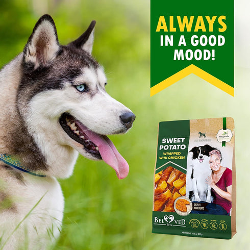 Dog Sweet Potato Wrapped with Chicken & Pet Natural Chew Treats - Grain Free Meat & Human Grade Dried Snacks in Bulk - Best Twists for Training Sm...