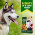 Dog Sweet Potato Wrapped with Chicken & Pet Natural Chew Treats - Grain Free Meat & Human Grade Dried Snacks in Bulk - Best Twists for Training Sm...