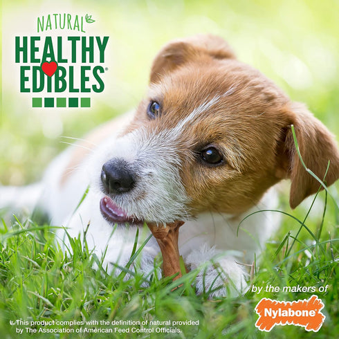 Nylabone Healthy Edibles Natural Dog Chews Long Lasting Ham Flavor Treats for Dogs, Small/Regular (16 Count)...