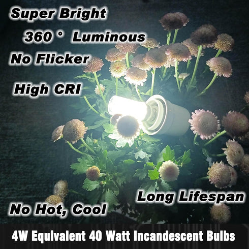 12V 40W E12 LED Candelabra Light Bulbs 4W Daylight White 6000K 450Lm Low Voltage AC12-24V/DC10-30V for RV Camper Marine Boat Landscape Lighting Ic...