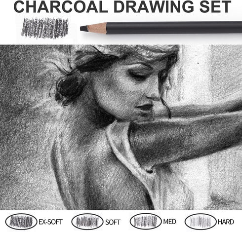 Professional Charcoal Pencils Drawing Set - 10 Pieces Super Soft, Soft, Medium & Hard Charcoal Pencils for Drawing, Sketching, Shading, Beginners ...