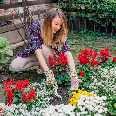 Zhaoyao Hand Weed Puller Tools Garden Crack Weed Remover Tool Aluminium Manual Weed Pulling Tools with Ergonomic Rubberized Grip for Garden Lawn F...