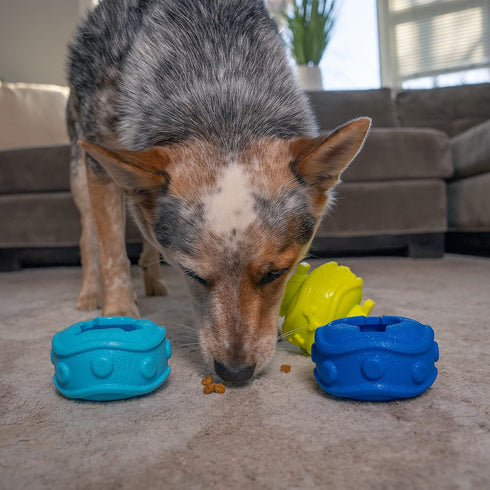 Outward Hound Treat Locking Discs Dog Treat Dispenser Puzzle Toy...