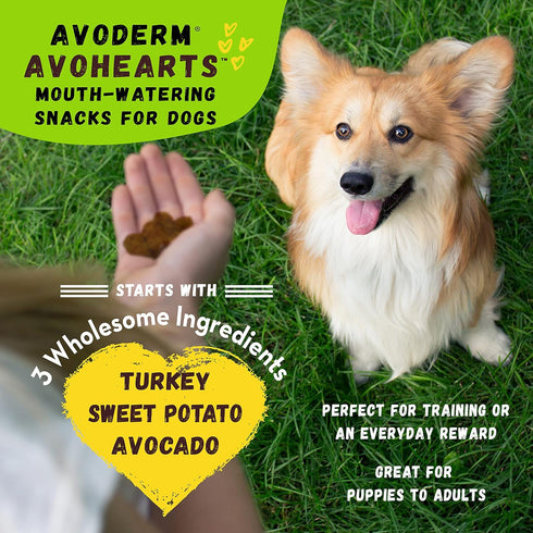 AvoDerm AvoHearts Turkey and Avocado Formula Dog Treats, 5oz bag...