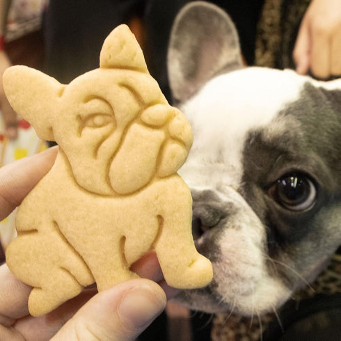 Set of 2 French Bulldog cookie cutters (Designs: Body & Face), 2 pieces - Bakerlogy...