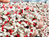 SBN Craft Supplies 50 gram Silent Night Christmas Fake Sprinkles Fake Christmas Sprinkles Polymer Clay Cute Christmas Holiday Fimo Slices for Deco...