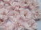 YYCRAFT Pack of 20 Pieces Chiffon 2" Flower Rhinestone for Craft Projects-Baby Pink...