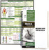 Neurology H&P Notebook Medical History and Physical notebook, 100 medical templates with perforations...