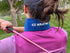 Ice Wraptor Bandana + Insert: Just Add Water. Keep Neck, Head, and Joints Cool. Portable Ice Therapy for Pain Relief.Adjustable Fit, Lightweight C...