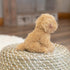 DEMDACO Black Long-Haired Chihuahua Children's Plush Beanbag Stuffed Animal Toy...
