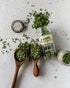 Spice Islands Snipped Chives, 0.1 Ounce...