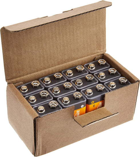 Amazon Basics 12-Pack 9 Volt Alkaline Performance All-Purpose Batteries, 5-Year Shelf Life, Packaging May Vary...