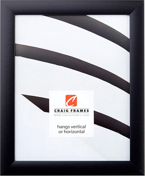 Craig Frames Contemporary Picture Frame, 8 x 10 Inch, Black...